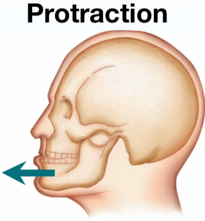 <p>Protraction</p>