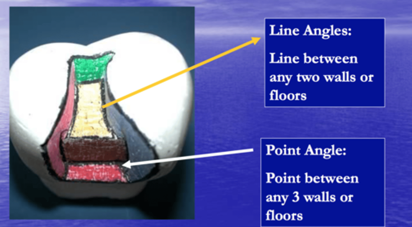 <p>line = junction of 2 walls</p><p>angles = junction of 3 walls</p>