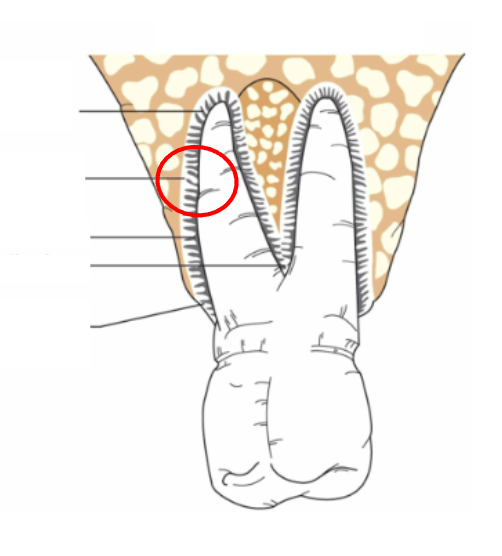 <p>What is this?</p>