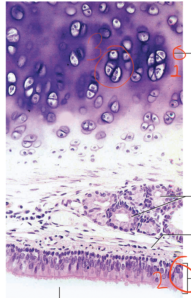 <p>Name 3</p>