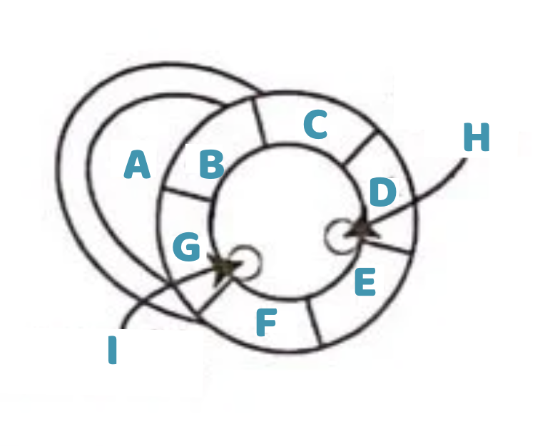 <p><span style="color: rgb(0, 151, 178);"><strong>E</strong></span></p>