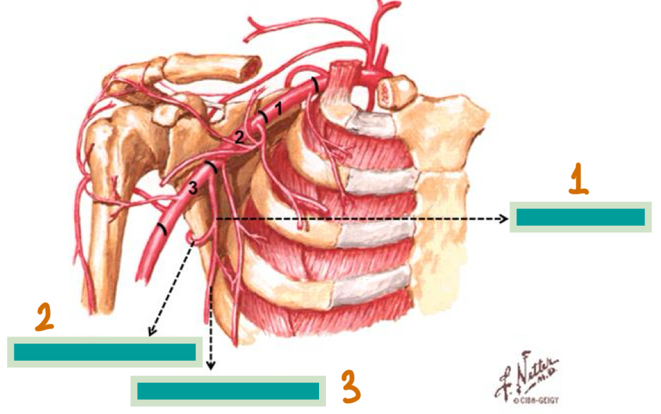 <p>1</p>