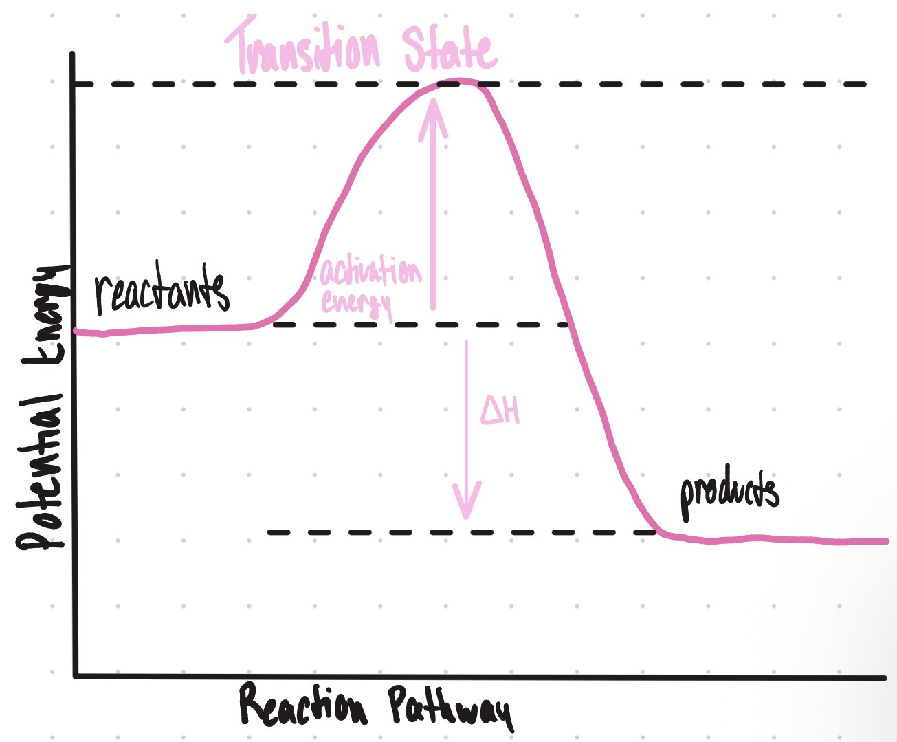 <p>The reverse activation energy = 240 kJ/mol and the graph would be exothermic because there is a release of 90kJ/mol</p>