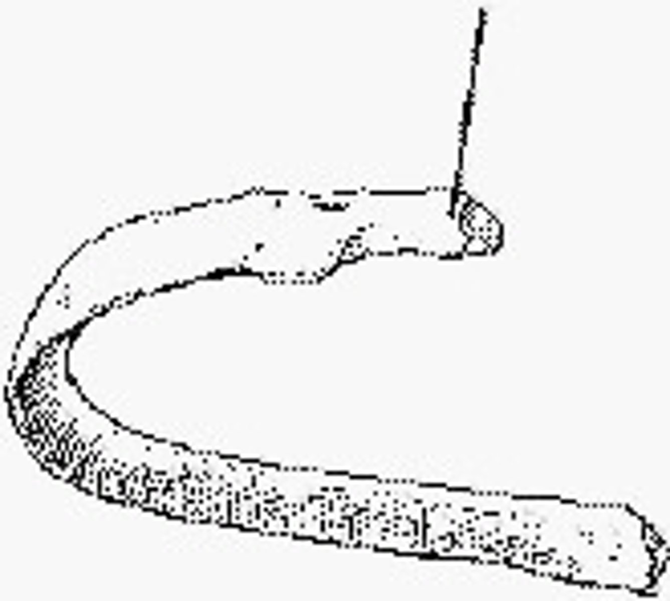 <p>Head</p><p>3 multiple choice options</p>