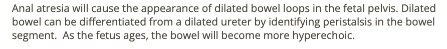 <p>a) dilated bowel can be differentiated from a dilated ureter by identifying peristalsis in the bowel segment</p>