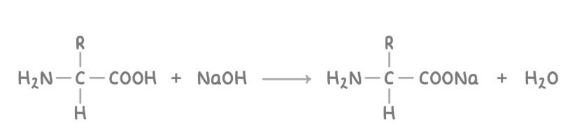 <p><span><strong><span>The carboxyl group can react with aqueous alkalis such as NaOH</span></strong></span><strong><sub>(aq)</sub></strong><span><strong><span> to form carboxylate salts and water.</span></strong></span></p>