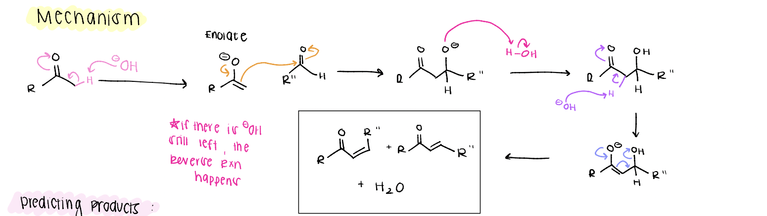 <p>make enolate nucleophile, attack, protonate O-, E1CB mechanism</p>