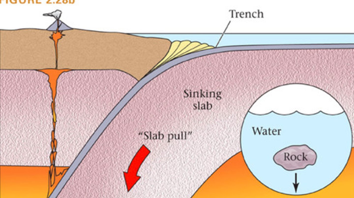 <p>- An oceanic and continental plate meet, the denser oceanic plate sinks beneath the continental plate,</p><p>- this pulls down the rest of the oceanic plate, and the continental plate.</p>