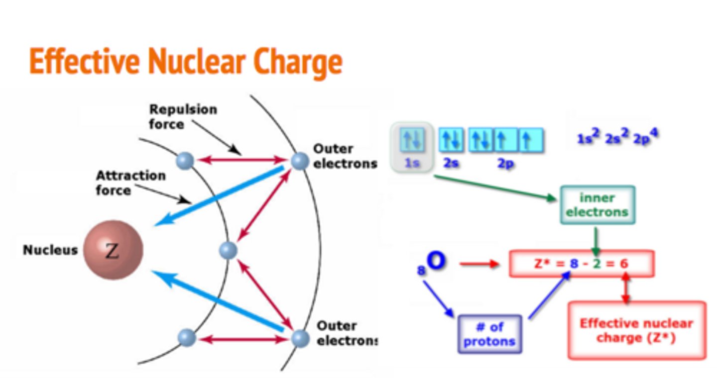 <p>The net positive charge experienced by an electron in a multi-electron atom.</p><p></p><p>(photo not accurate electrons are waves not particles) </p>