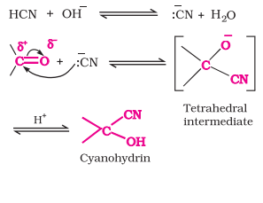 <ul><li><p>Aldehydes and ketones on reacting with HCN give <strong>cyanohydrins</strong></p></li><li><p><strong>Very slow reaction</strong> with pure HCN</p></li><li><p>So, it is<strong> catalyzed by a base </strong>and the generated CN- being a stronger nucleophile readily attacks on carbonyl carbon to yield corresponding cyanohydrin</p></li><li><p>Cyanohydrins are a useful synthetic intermediate</p></li></ul>