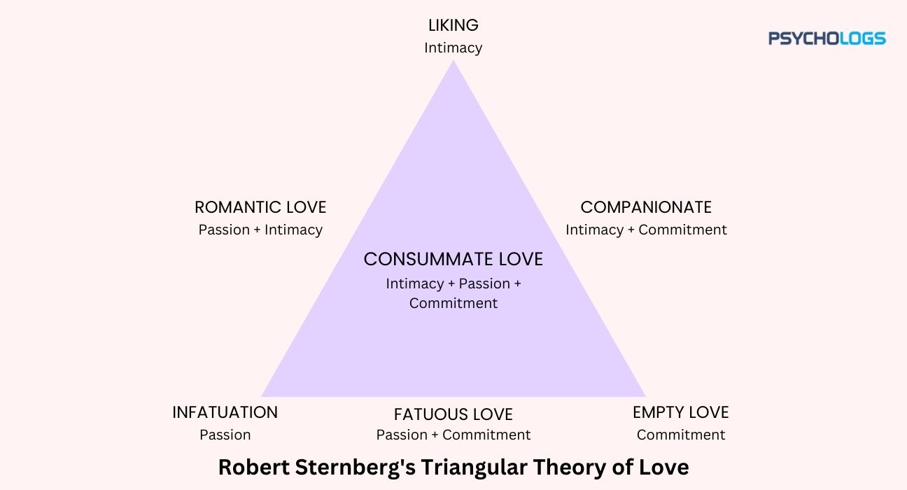 <p>Distinguishes the foundations of different types of relationships along the dimensions:</p><ul><li><p>Intimacy </p></li><li><p>Passion </p></li><li><p>Commitment</p></li></ul><p></p>