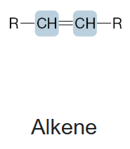 <p>Alkene</p>