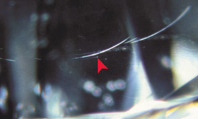 <p>What blemish is this?</p>