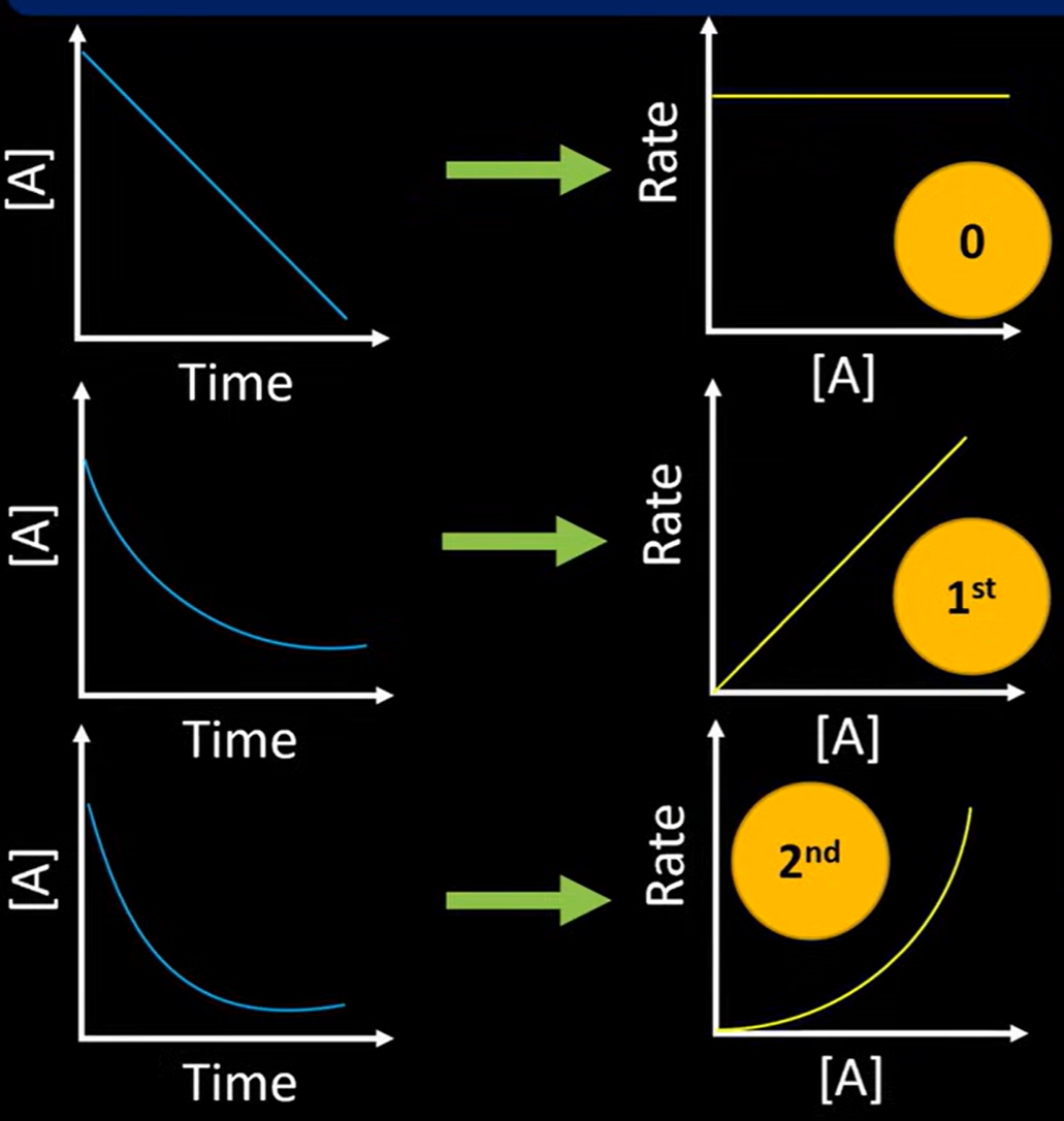 <p>The rate on a shallow curve graph changes in equal amounts:</p><ul><li><p>a straight diagonal line (linear) → changing the concentration changes the rate equally</p></li></ul><p></p>