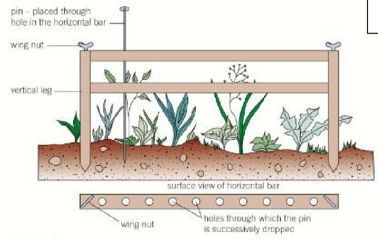 <p>series of pins, count plants touching pins, useful for longer vegetation, can overestimate tall thin leaved plants that touch multiple pins</p>