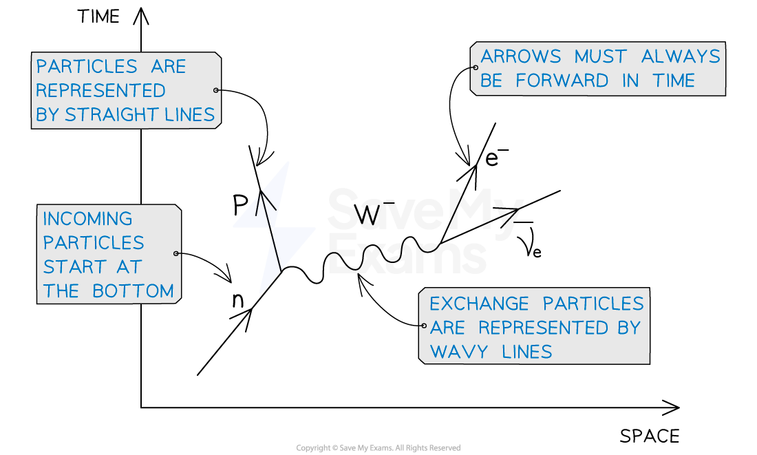 <p>Hadrons/quarks are present on the left and leptons on the right, they must never meet at a vertex</p><p>Charge, baryon number and lepton number must be&nbsp;<strong>conserved</strong>&nbsp;at each vertex</p>