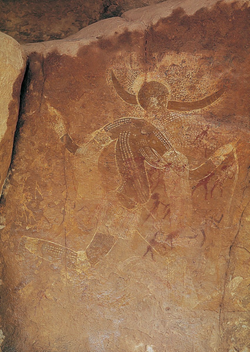 <p>Tassili n-Ajjger, Algeria</p><p>6000-4000 BCE</p><p>Pigment on rock</p>