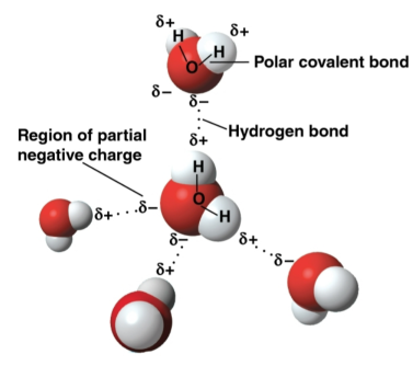 <p>Polar molecule</p>