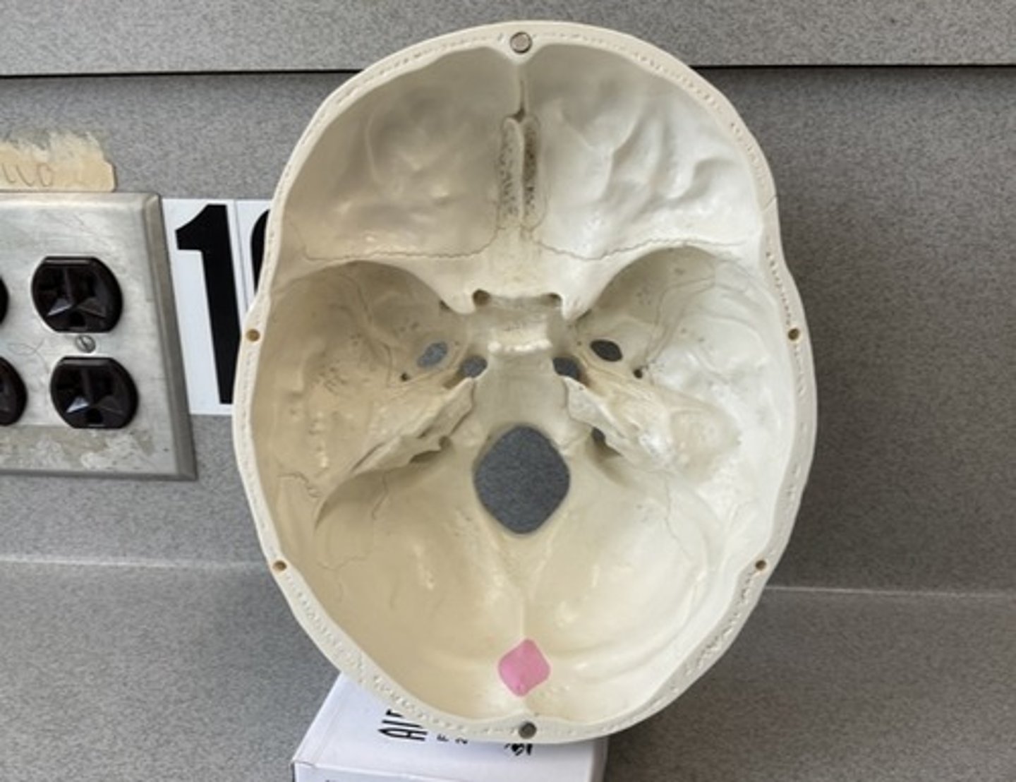 knowt flashcard image