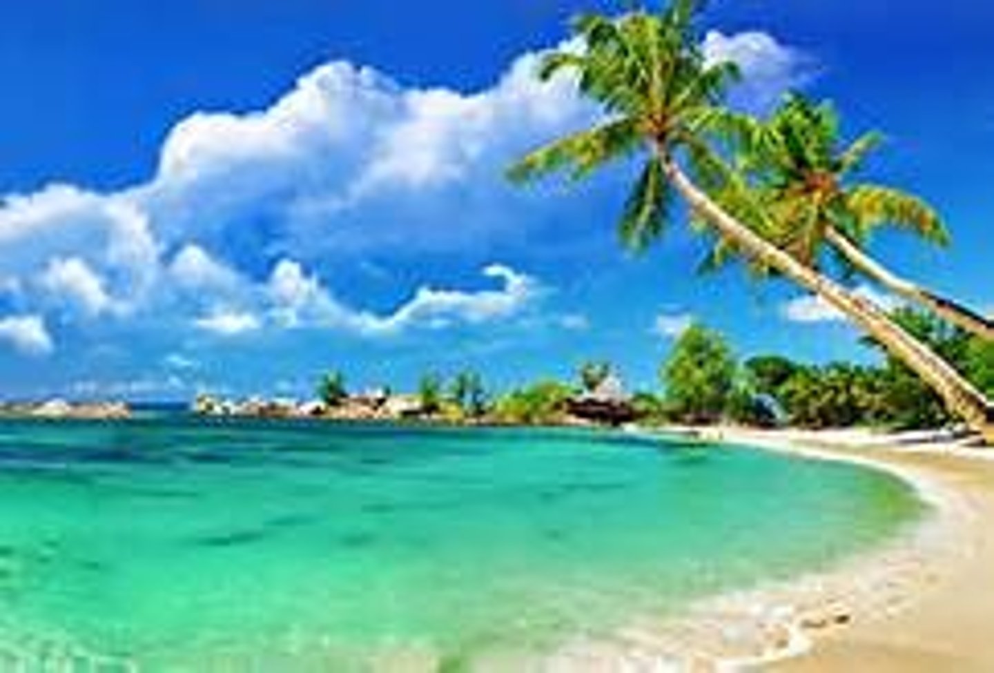 <p>Relating to hot, humid regions near the equator.</p>