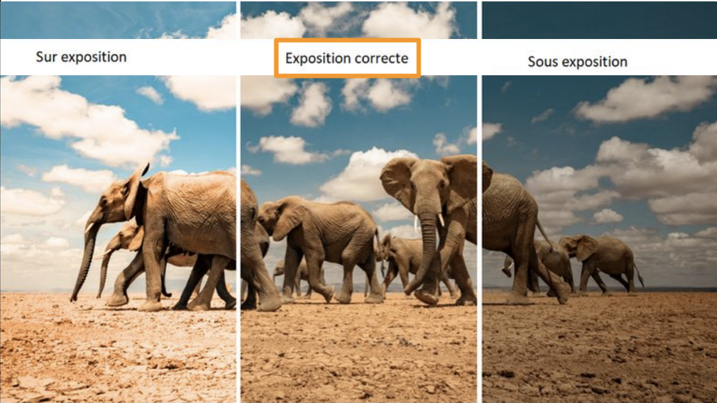 <p>l’exposition d’une photo</p>