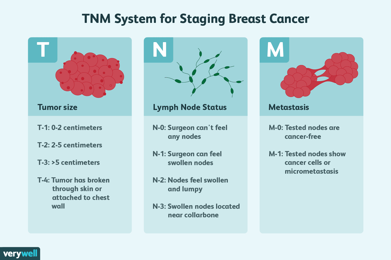 <p>What is the TNM system?</p>