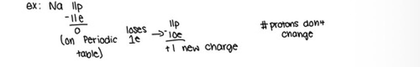 <p>Lose elections and have a positive charge because they have more protons then electrons</p>