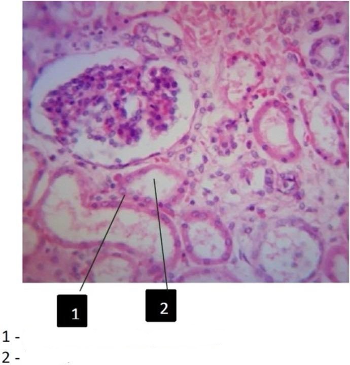 <p>Label all parts</p>