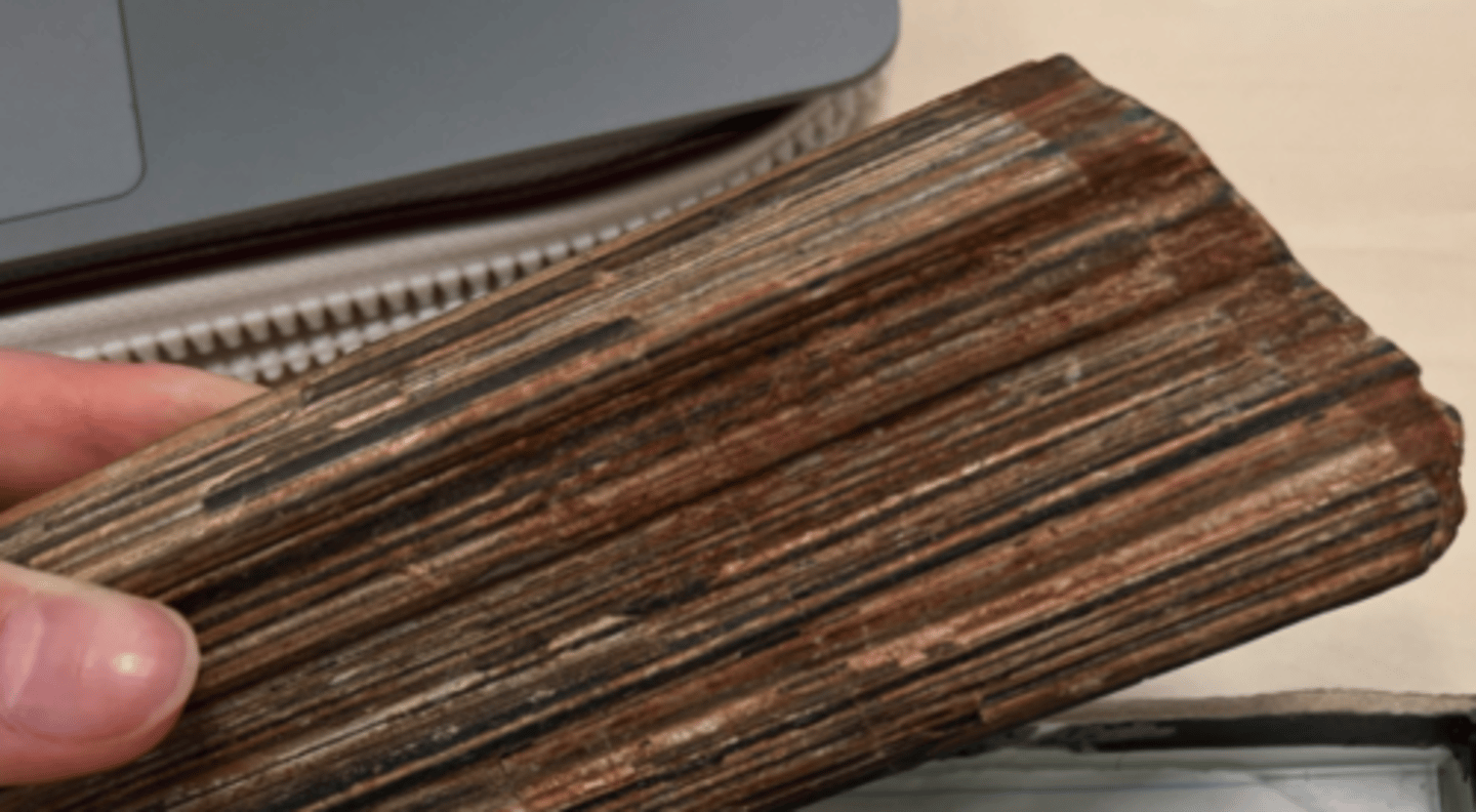 <p>forms from igneous rocks like granite<br>contains muscovite</p>