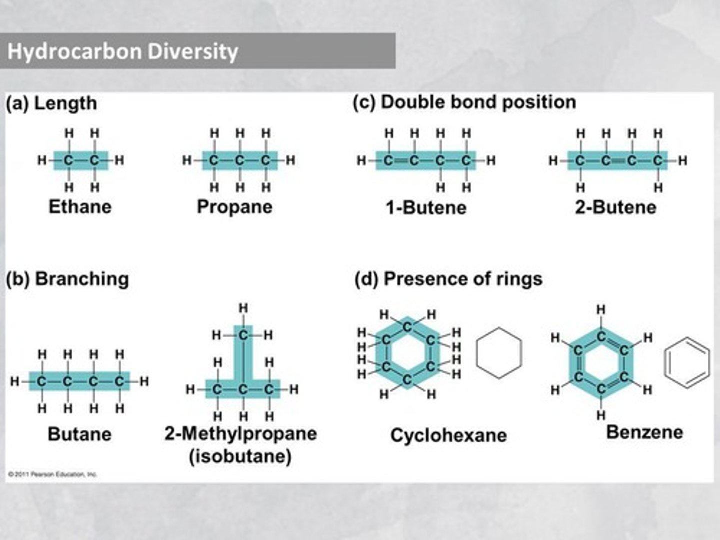 <p>Hydrocarbons are molecules composed only of carbon and hydrogen.</p>