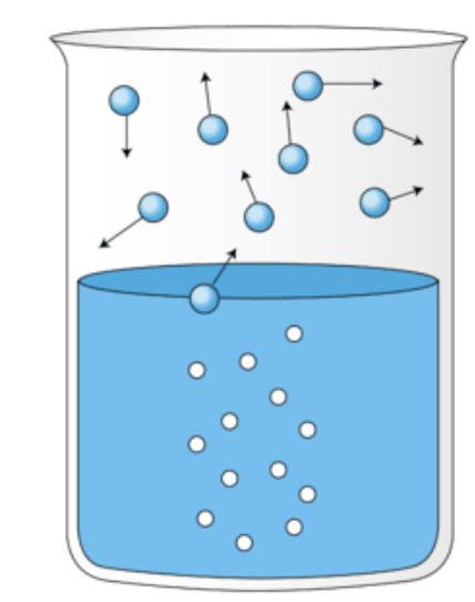 <p>What is happening in this image?</p>