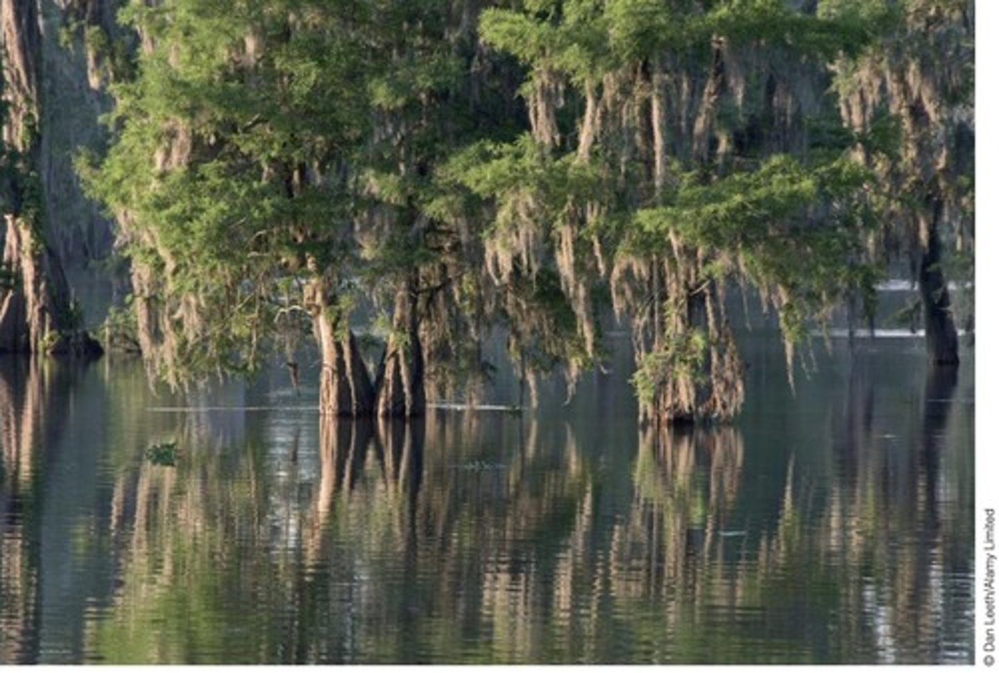 <p>A body of fresh water surrounded by land with non-flowing water, such as a lake or pond.</p>