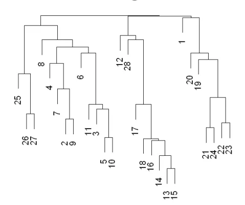 <p>shows us all the possible clusters as opposed to a specific set of clusters </p><ul><li><p>cutting the tree creates clusters (any number of clusters, just filter the output to however many clusters is needed, no need to rerun outcome)</p><ul><li><p>cutting higher up - less clusters</p></li><li><p>cutting lower - more clusters</p></li></ul></li></ul><p></p>