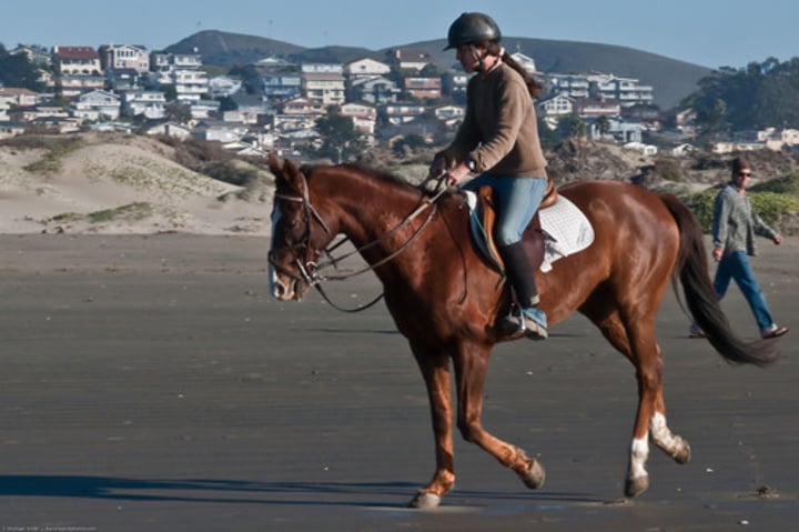 <p>to go horseback riding</p>