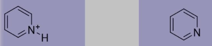 <p>Pyridinium Ion (<strong><u>Amine</u></strong>), Pyridine (<strong><u>Amine</u></strong>)</p>