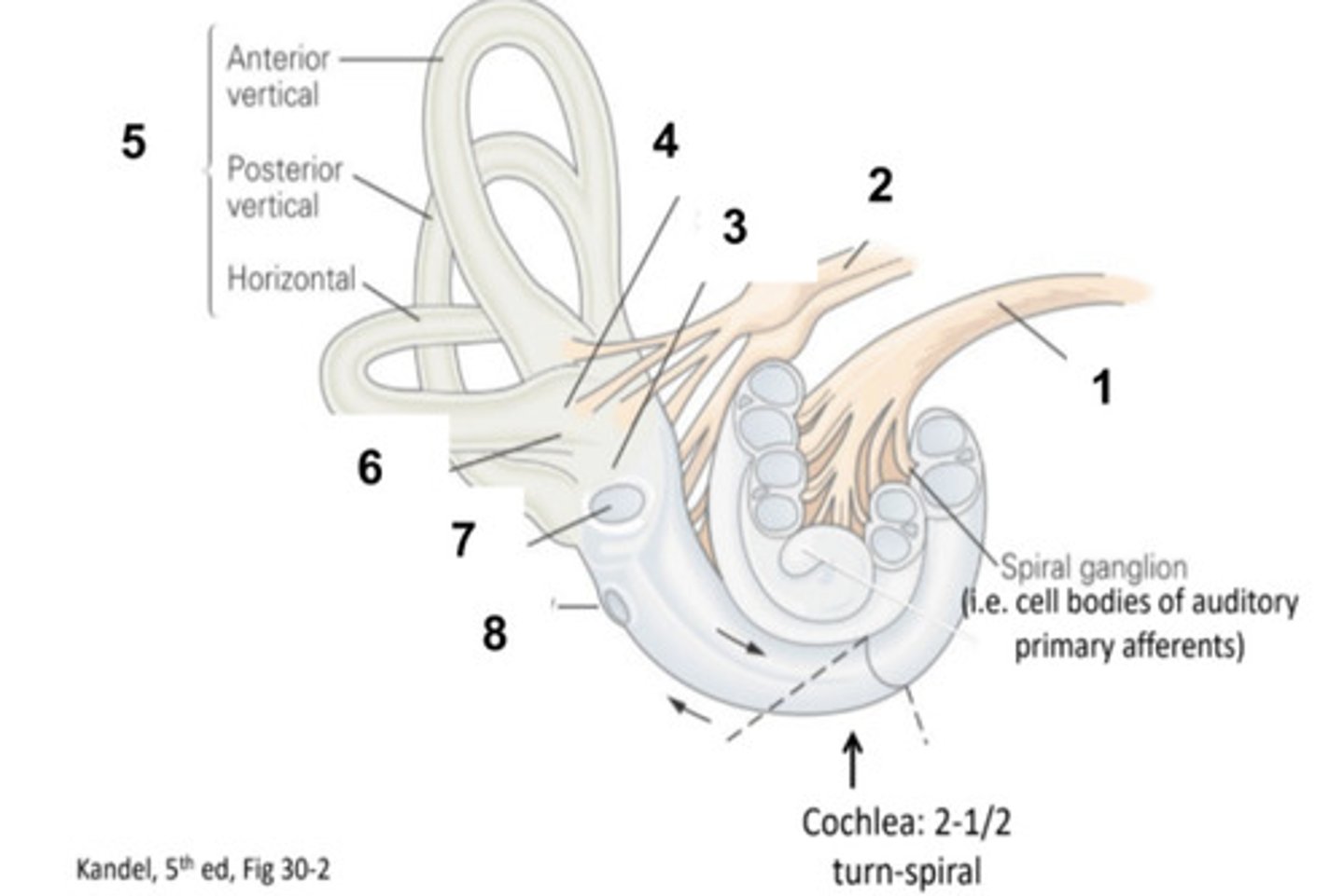 <p>What is structure #2?</p>
