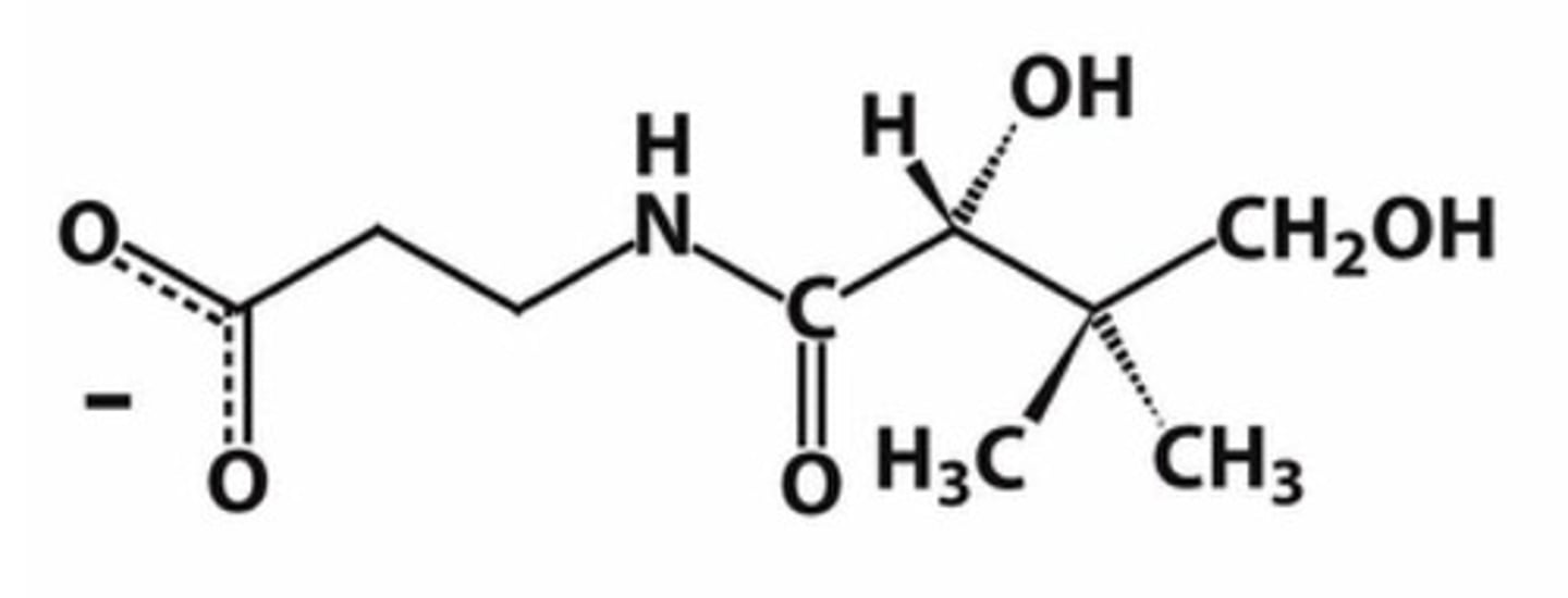 knowt flashcard image