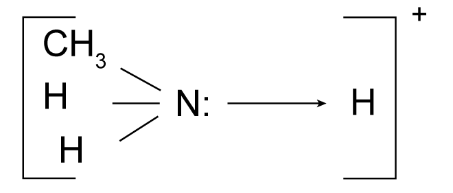 <p><span><span>Amines, like ammonia, have a lone pair of electrons on the nitrogen atom.</span></span></p>