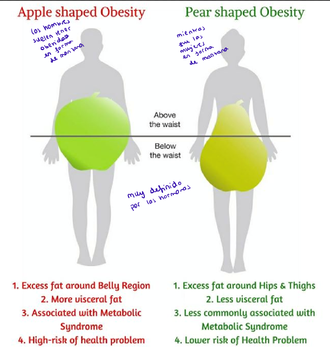 <ol><li><p>Manzana</p></li><li><p>Pera</p></li></ol><p></p>