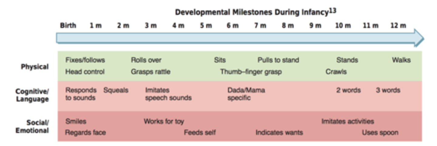 <p>Ans: C</p><p>Chapter: 18</p><p>Page and Header: 750, Development</p><p>Feedback: Assessing developmental milestones is of major importance during the first year and beyond. These accomplishments in the physical, cognitive/language, and social domains are normal for an 8-month-old infant.</p>
