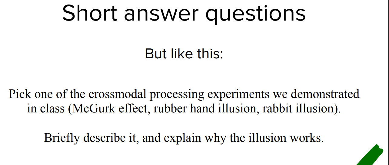 <p>vision modulates hearing</p><p>interaction between top-down and bottom-up processing</p><ul><li><p>bottom up thinks ba</p></li><li><p>vision comes in and makes u think fa</p></li></ul><p></p><p></p>