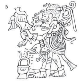 term image