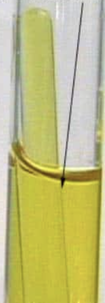 <p>Is this a positive or negative&nbsp;Carbohydrate fermentation test?</p>