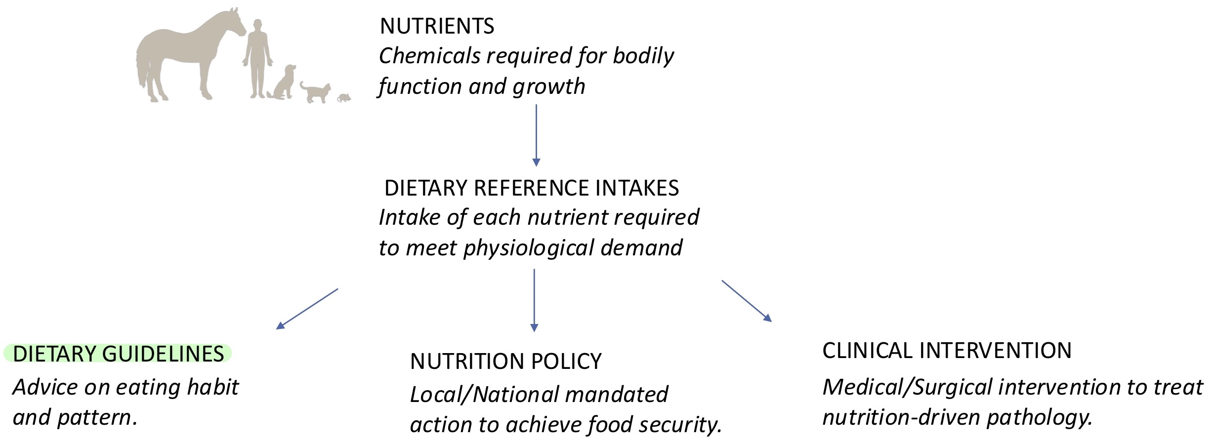 <p>They <strong>provide science-based advice on what to eat and drink</strong> to promote health, reduce risk of chronic disease, and meet nutrient needs</p><p></p>