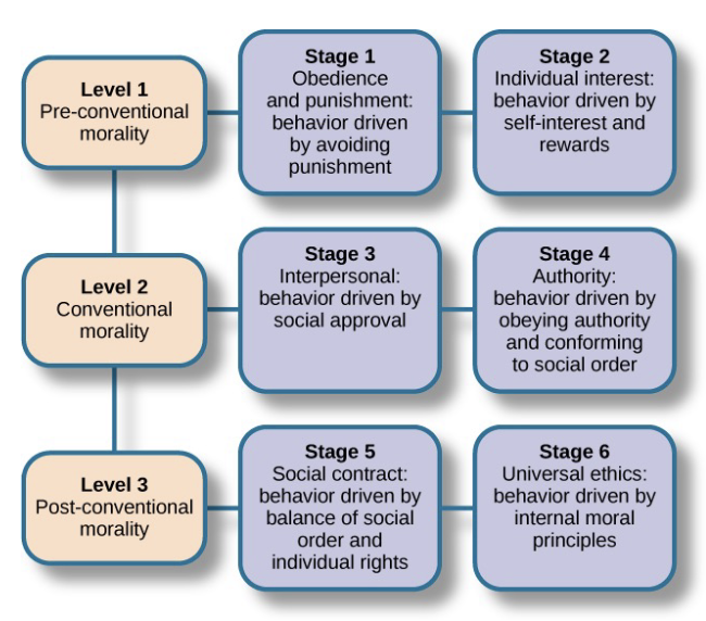 <p>moral dilemmas - focus on children’s reasoning, not on specific answers</p><ul><li><p>Level 1: pre-conventional moral reasoning</p></li><li><p>Level 2: conventional moral reasoning</p></li><li><p>Level 3: post-conventional moral reasoning</p></li></ul>