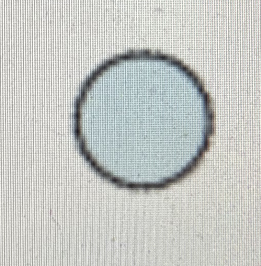 <p>round<br></p>