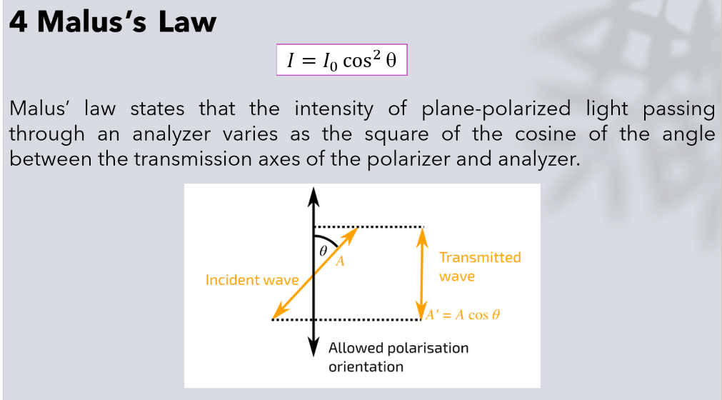 The intensity of a plane-polarized light passing through an analyzer varies with the square of the cosine of the angle between the transmission axis between the polarizer and analyzer 