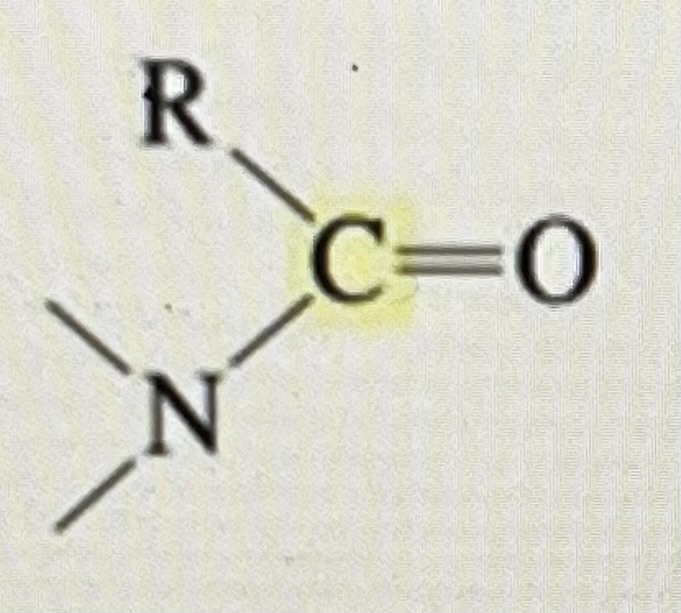 <p>2* amide</p>