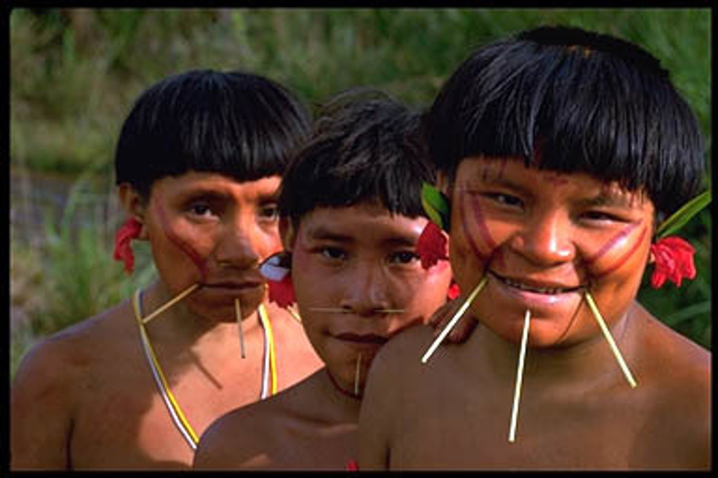 <p>Lived in South America, Venezuela and Brazil</p>