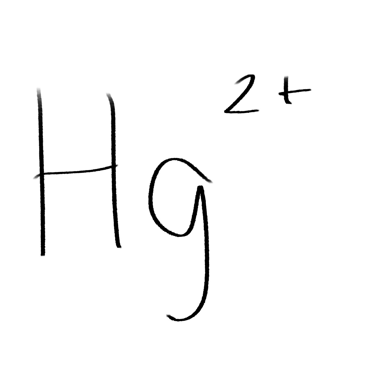 Hg 2+